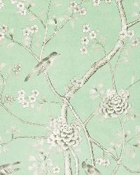 Chinois Palais Aquamarine by  Schumacher Fabric 