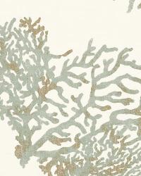 Great Barrier Reef Moonstone by  Schumacher Fabric 