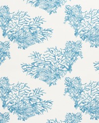 Great Barrier Reef Blue by  Schumacher Fabric 