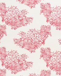 Great Barrier Reef Pink by  Schumacher Fabric 