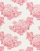 Schumacher Fabric GREAT BARRIER REEF PINK
