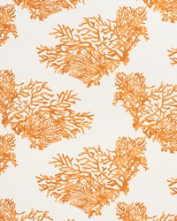 Great Barrier Reef Orange by  Schumacher Fabric 