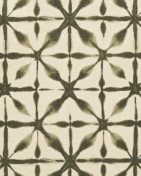 Andromeda Peat by  Schumacher Fabric 
