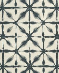 Andromeda Charcoal by  Schumacher Fabric 
