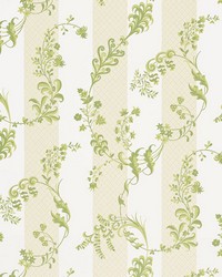 Bagatelle  Citron Vert by  Schumacher Fabric 