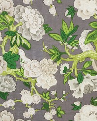 Bermuda Blossoms Slate by  Schumacher Fabric 