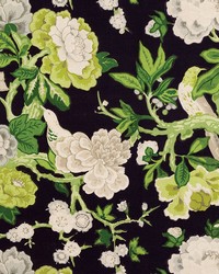 Bermuda Blossoms Jet by  Schumacher Fabric 
