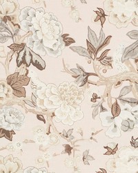 Bermuda Blossoms Blush by  Schumacher Fabric 