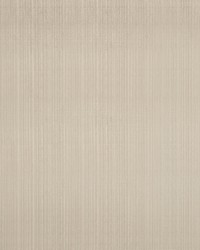 Summer Stripe Shell by  Schumacher Fabric 