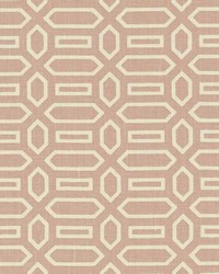 Pavillion Temple Pink by  Schumacher Fabric 