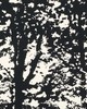 Schumacher Fabric WOODLAND BLACK
