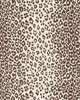 Schumacher Fabric ICONIC LEOPARD BROWN