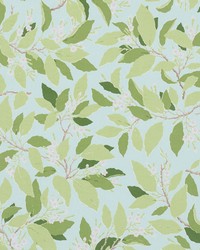 Dogwood Leaf Aqua by  Schumacher Fabric 