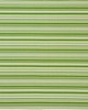 Schumacher Fabric STRIPEDOT II GREEN