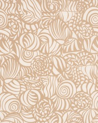 Seashells Sand by  Schumacher Fabric 