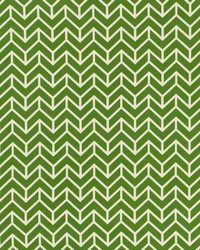 Chevron Green by  Schumacher Fabric 