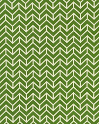 Chevron Green by  Schumacher Fabric 