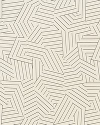 Deconstructed Stripe Ii Black by  Schumacher Fabric 