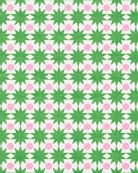 Cosmos Watermelon by  Schumacher Fabric 