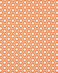Queen B Orange by  Schumacher Fabric 