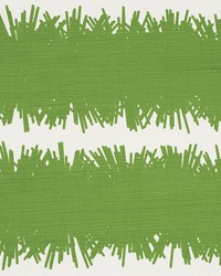 Bang Green by  Schumacher Fabric 
