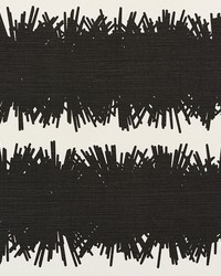 Bang Black by  Schumacher Fabric 