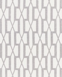 Belvedere Grey by  Schumacher Fabric 