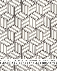 Tumbling Blocks Contract Grey by  Schumacher Fabric 