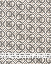 Serendipity Contract Natural by  Schumacher Fabric 