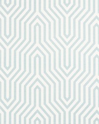 Vanderbilt Print Mineral by  Schumacher Fabric 