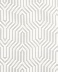 Vanderbilt Print Grisaille by  Schumacher Fabric 