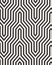 Vanderbilt Print Noir by  Schumacher Fabric 