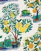 Schumacher Fabric CITRUS GARDEN INDOOR/OUTDOOR PRIMARY