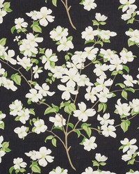Blooming Branch Black by  Schumacher Fabric 