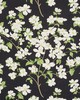 Schumacher Fabric BLOOMING BRANCH BLACK