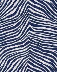 Iconic Zebra Blue by   