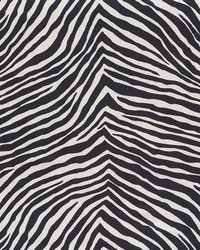 Iconic Zebra Black by   