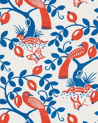 Olive Tree Blue & Red by  Schumacher Fabric 