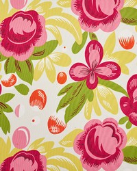 Juin Poppy & Yellow by  Schumacher Fabric 