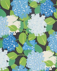 Hyardrangea Document by  Schumacher Fabric 