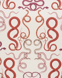 Giove Ruby & Garnet by  Schumacher Fabric 