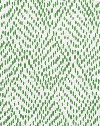 Duma Diamond Green by  Schumacher Fabric 