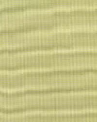 Dalton Silk Gingham Chartreuse by  Schumacher Fabric 