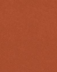 Gainsborough Velvet Apricot by  Schumacher Fabric 