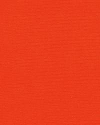 Gainsborough Velvet Blaze by  Schumacher Fabric 