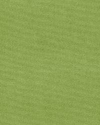 Gainsborough Velvet Apple by  Schumacher Fabric 