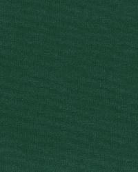 Gainsborough Velvet Billiard by  Schumacher Fabric 
