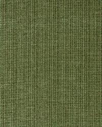 Antique Strie Velvet Grass by  Schumacher Fabric 