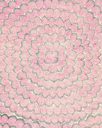 Feather Bloom Fuchsia  Jet by  Schumacher Wallpaper 