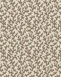 Folly Berber Brown by  Schumacher Wallpaper 
